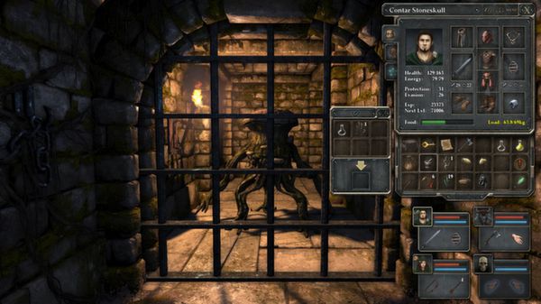 Download Legend of Grimrock 