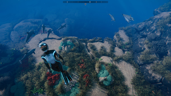 Download Beyond Blue Free