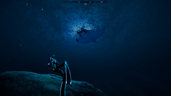Beyond Blue Free for PC