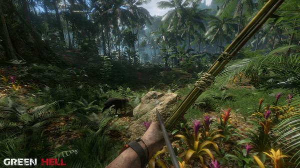 Download the Green Hell for PC