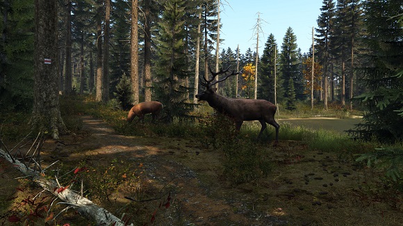 DayZ PC Game Free Download