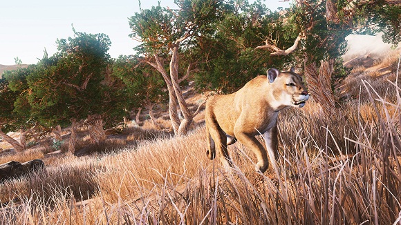 Hunting Simulator PC Game