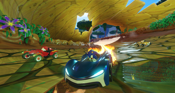 Team Sonic Racing PC Game Free Download 