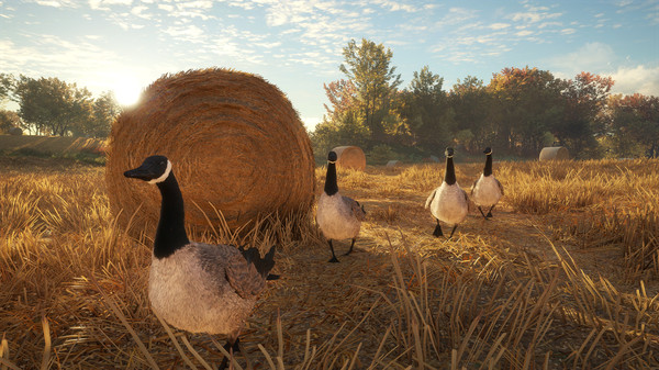 theHunter Call of the Wild Free Download
