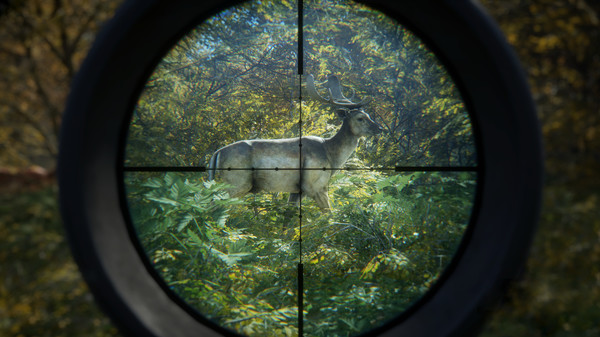 theHunter Call of the Wild PC Game