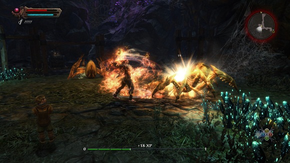 Kingdoms of Amalur Reckoning PC Game 