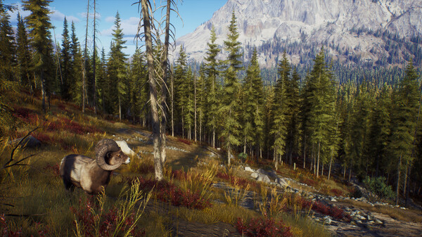 Way of the Hunter Free Download