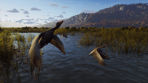 Way of the Hunter PC Game
