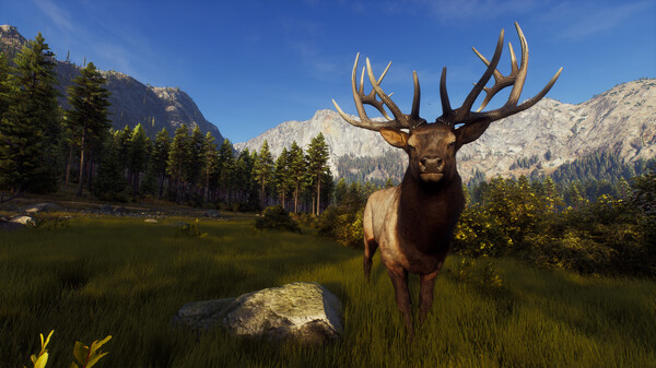 Way of the Hunter PC Game Free Download